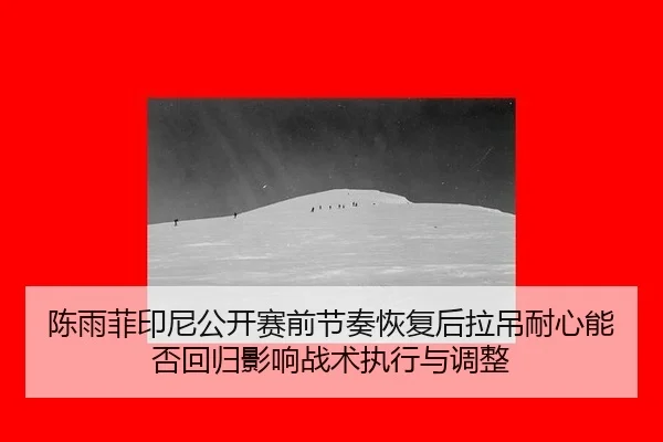 陈雨菲印尼公开赛前节奏恢复后拉吊耐心能否回归影响战术执行与调整